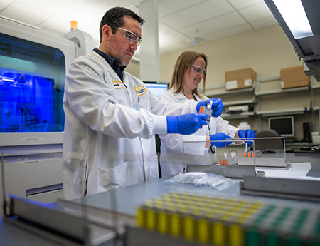 Researchers in a lab work on creating a COVID-19 test