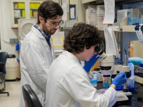 A person with dark curly hair seated at a lab bench looks into a microscope; another person with a beard and glasses wearing a white lab coat looks on