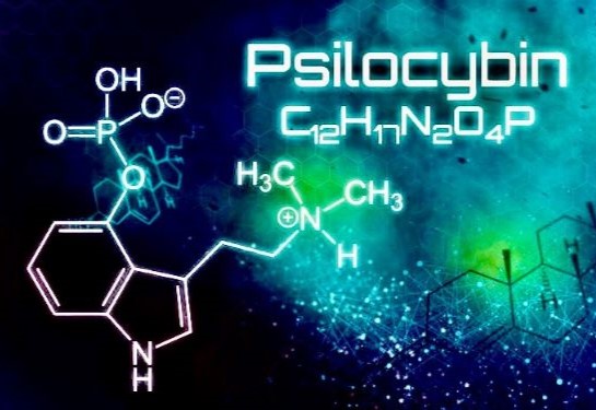 The word “Psilocybin” and its chemical composition are displayed in white against a dark background.