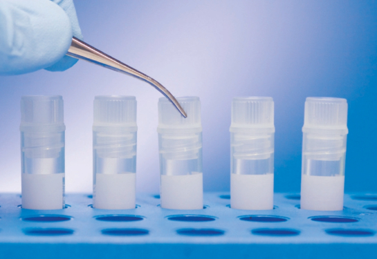 Five tubes in a rack with hand holding metal dropper in middle tube.